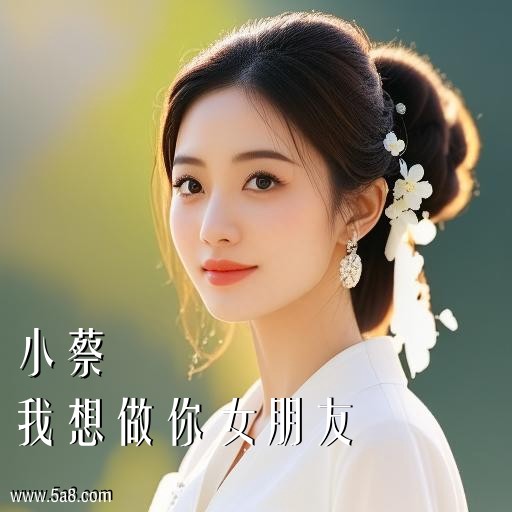 我想做你女朋友小蔡搞笑图片