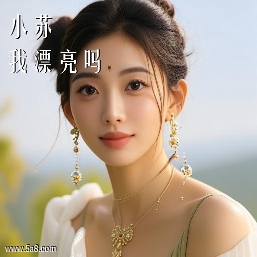 我漂亮吗小苏搞笑图片