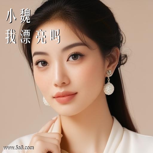 我漂亮吗小魏搞笑图片