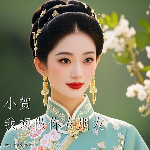 我想做你女朋友小贺搞笑图片