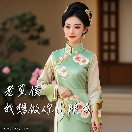 我想做你女朋友老夏侯搞笑图片